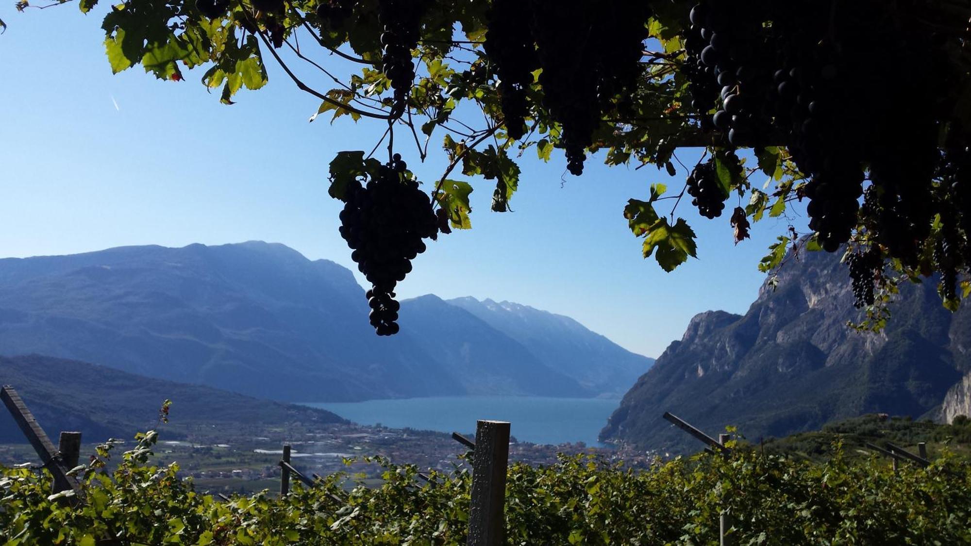 Agritur Calvola Vila Tenno Exterior foto